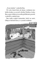 0037760686_tigri-tim-poklad-na-bobrej-ri