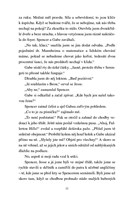 0033968506_nejsem-zadna-potrhla-holka-10