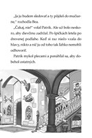 0033678209_MINI-Tigri-tim-Brnenie-dracie