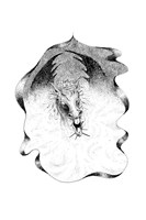 0034907473_alchymistuv-ucen-a101f0f11430