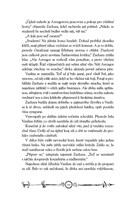 0036795376_casodejove-2-srdce-casu-121f0