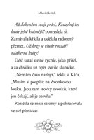 0034775141_zviratka-z-kouzelneho-lesa-Kr