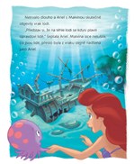 0036792214_Princezny-krabicka-2017-cz-li