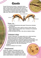 0037184161_spoznavame_zvierata v divocin