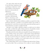 0035079400_neplechy-medvidka-matyska-a10