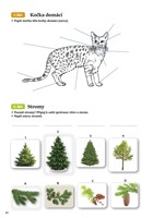 0036371949_prvouka-hrou-zabavne-aktivity