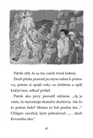 0033678229_mini-tigri-tim-poklad-v-pirat