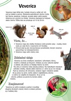 0037184162_spoznavame-zvierata-v-lese-B1