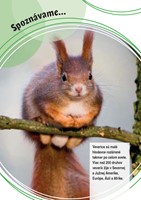 0037184162_spoznavame-zvierata-v-lese-B1