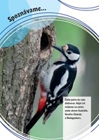 0037184162_spoznavame-zvierata-v-lese-B1