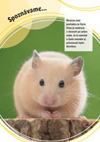 0037184163_spoznavame-domaci-milacikovia