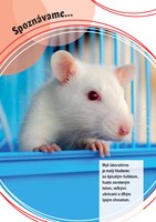 0037184163_spoznavame-domaci-milacikovia