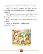 0040770253_medvidek-pu-rok-plny-svatku-s