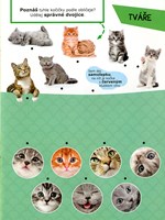 0039754850_aktivity-s-nalepkami-hrave-ko