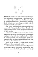 0038492895_magicka-zvirata-kocici-cary-a