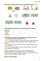 0038052681_diktaty-trochu-jinak-6.-a-7.-