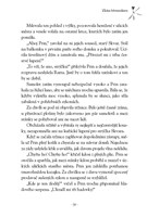 0038809042_srdce-aporveru-a101f0f14932-l