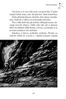 0038809042_srdce-aporveru-a101f0f14932-l