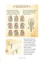 0043143030_na-vlasku-pruvodce-svetem-odv