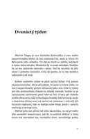 0040195607_Vic_uz_se_nedozvime_ukazka3.j