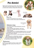 0037784985_poznavame-domaci-mazlicci-a10
