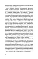 0041329989_Sen_letici_zelvy_ukazka_Page_