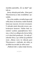 0040094283_kitty-zazracnica-osamely-kocu