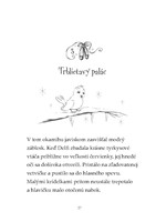 0039969132_zazracna-balerina-delfi-a-kuz