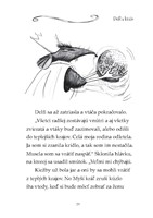 0039969132_zazracna-balerina-delfi-a-kuz