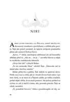 0035793957_spirit-animals-soumrak strazc