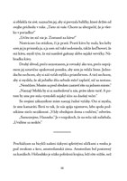 0039907314_dievca-v-modrom-plasti-b102f1