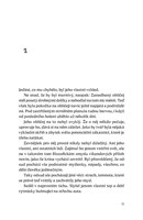 0040036110_Vsevidouci_oko_ukazka_Page_03