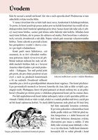 0045901564_koně_příběhy_a101m0f16766-lis