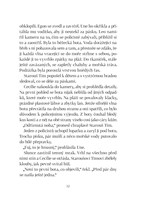 0040035619_Zahada_morskeho_dna_ukazka_Pa