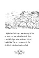 0041805037_zviratka-z-kouzelneho-lesa-je