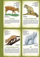 0043019132_tygri-srdce-ostrov-stinovych-