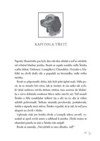 0045908935_Zakon_smecky_II_04_Rudy_mesic