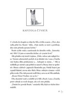 0045908935_Zakon_smecky_II_04_Rudy_mesic