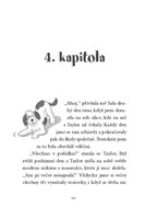 0039951408_psi-zachranarky-4-stene-pro-s