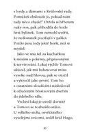 0049061077_Beast_quest_Ferno_Ohnivy_drak