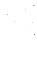 0040035850_Mount_Kodan_ukazka_AM_Page_02