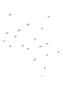 0040035850_Mount_Kodan_ukazka_AM_Page_03