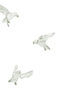 0040035850_Mount_Kodan_ukazka_AM_Page_04