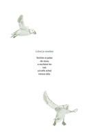 0040035850_Mount_Kodan_ukazka_AM_Page_07