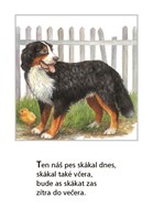 0048840203_lidova-rikadla-o-zviratkach-A