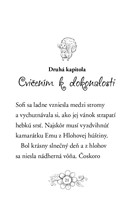 0041805034_zvieratka-z-kuzelneho-lesa-ve