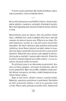 0046289409_strana_108.jpg