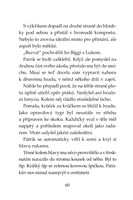 0039951155_klub-tygru-tajemna-prilba-a10