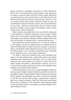 0040195531_Oranzovy-balonkovy-pejsek_uka