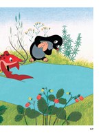 0049062172_krtek-a-kalhotky-10110F18609-